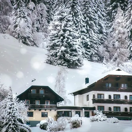 Guest house & Ronacherhof 3*