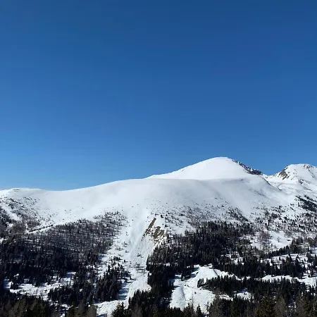 Pension&appartements Ronacherhof - Kärnten Card Sommer 2025 Inklusive! Bad Kleinkirchheim