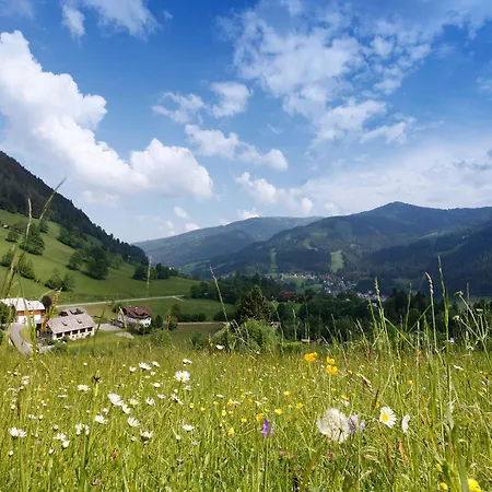 & Ronacherhof Guest house