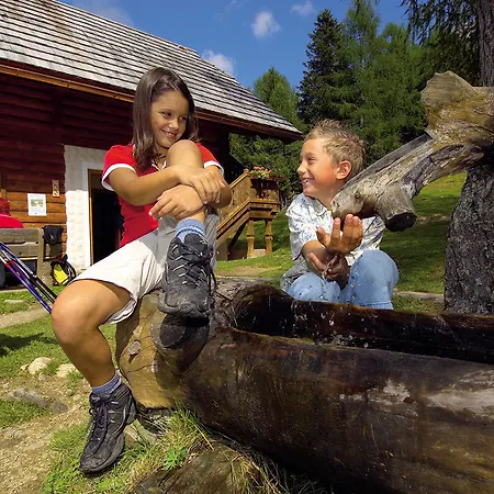 Gasthof Pension&appartements Ronacherhof - Kärnten Card Sommer 2025 Inklusive! 3*