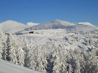 & Ronacherhof 3* Bad Kleinkirchheim