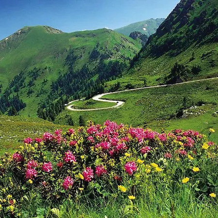 & Ronacherhof بيت ضيافة