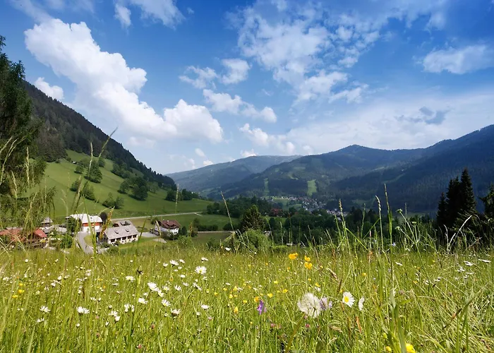 & Ronacherhof -mountain Hideaway Slopeside Guest house