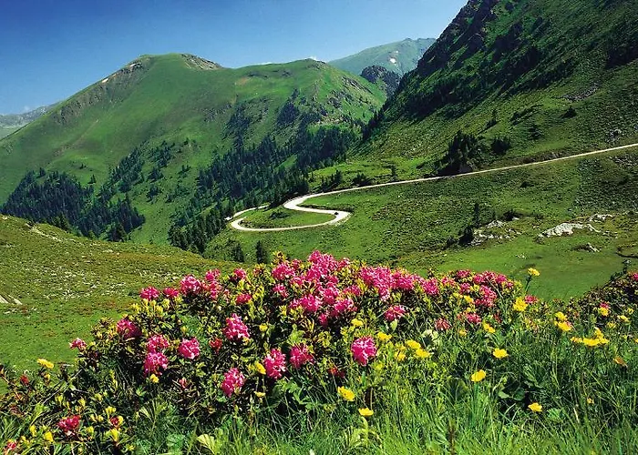 & Ronacherhof -mountain Hideaway Slopeside Pensionat